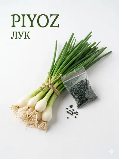 Семена укроп, кинза, лук, редиска