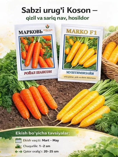 Семена моркови Косон – красная и желтая, урожайные
