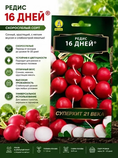 Семена редиса: 18 дней. Аэлита