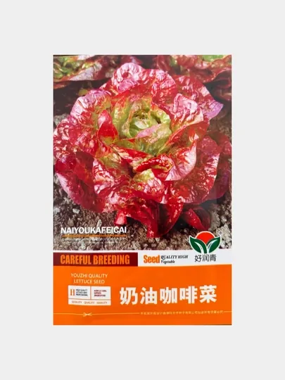 Китайская капуста салат, Китай