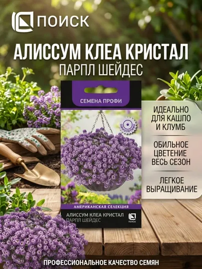 Алиссум Клеа Кристал Парпл Шейдес (Семена Профи) (ЦВ) ("1) 20шт