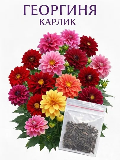 Семена цветов
