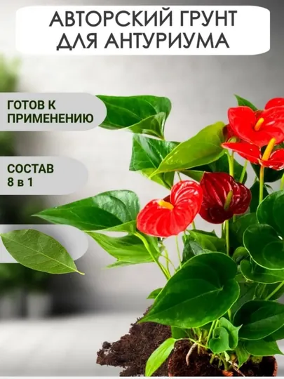 Грунт для Антуриума, готовый торф для цветка, pН 5,5 - 7