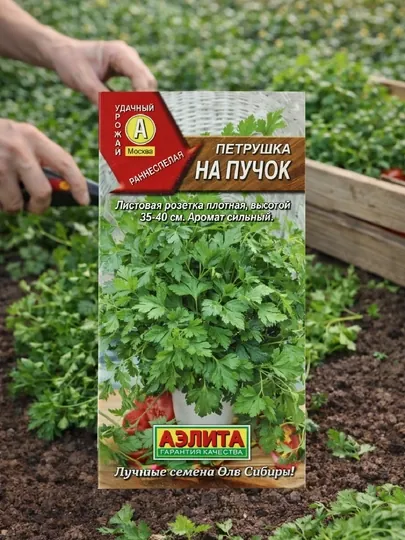Семена петрушка На пучок Аэлита