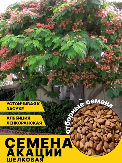 Семена дерева акации, шелковое растение цветок розового цвета 20 штук
