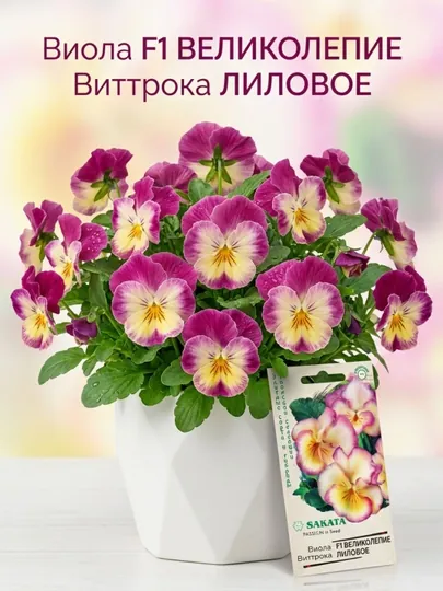 Семена Виола Великолепие лиловое F1, Виттрока Элитные сорта и гибриды, 5 dona, 1070008782