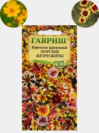 Семена цветов Кореопсис, Ипомея, Ромашка, Астра, Вербена, Гвоздика, Георгина, Цинния