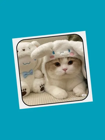 3D наклейка "Котики" на телефон