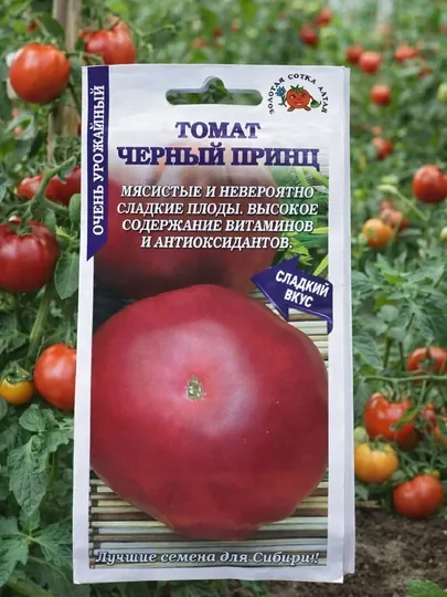 Томат Черный принц, сладкий, мясистый высокоурожайный, семена для теплицы и грунта