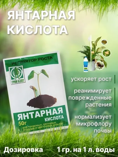 Янтарная кислота — регулятор роста растений, 50 г