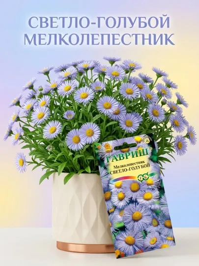 Семена Мелколепестник светло-голубой, 0.02 г, 003861