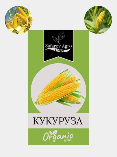 Семена кукурузы. Семена сладкой гибридной кукурузы