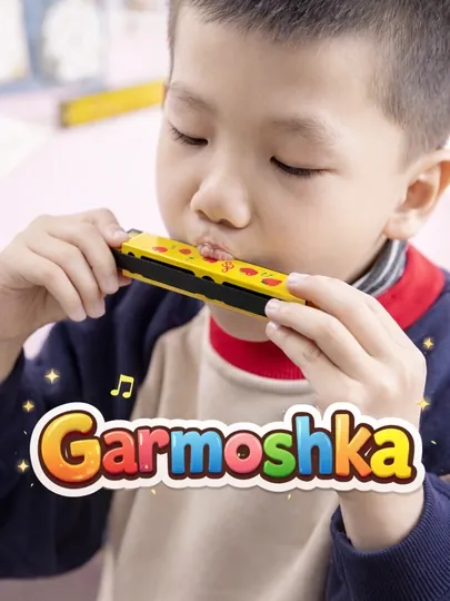 Губная гармошка, музыкальный инструмент