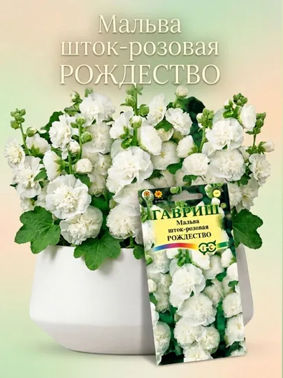 Семена Мальва Рождество, 0,1 г