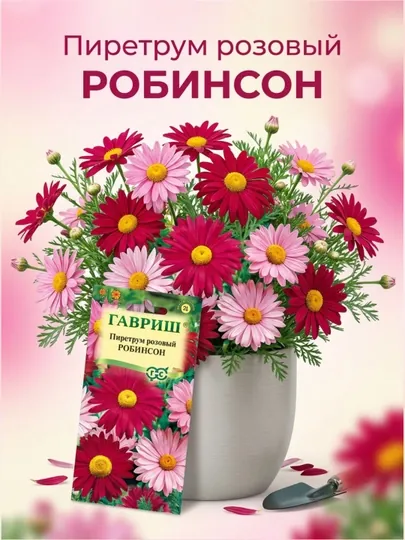 Семена Пиретрум Робинсон, смесь, 0.2 г