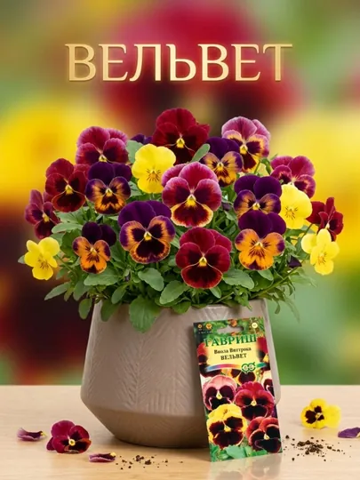 Семена Виола Вельвет, Виттрока, смесь 0.05 г, 1071857334