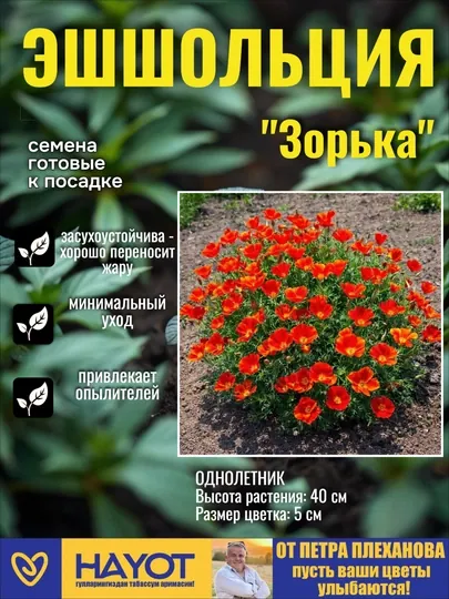 Семена эшшольции от Петра Плеханова: Махровая Балерина,Невеста белая,Зорька, Смесь окрасок