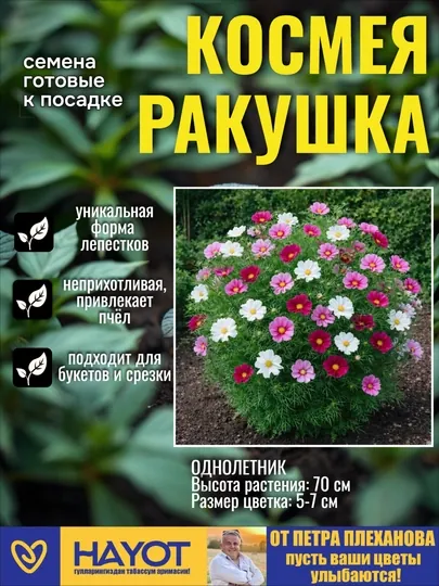 Семена космеи от Петра Плеханова: Сенсация, Ракушка, Дварф микс, Белая, Красная