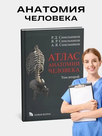 Атлас анатомии человека. Синельников. Том 2