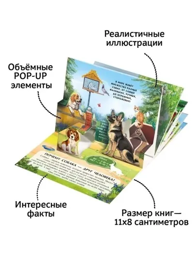 POP-UP книжки-панорамки для детей, набор из 6 книг с объёмными 3D иллюстрациями — GORFAM-GF48900-АЛЫЙ