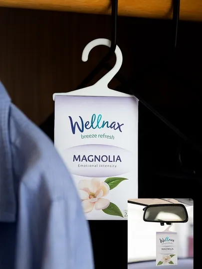 Многофункциональный ароматизатор-саше Wellnax для шкафа, санузла и полки для обуви