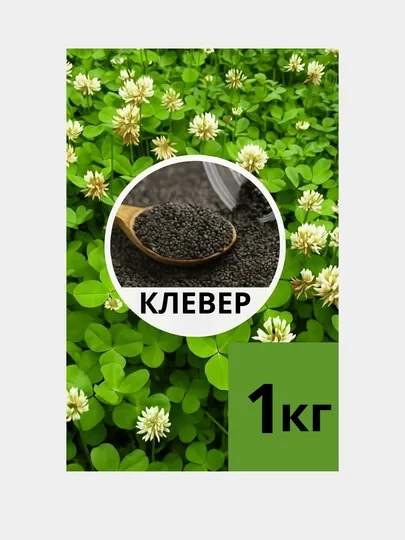Семена клевера белого, 1 кг — ручная фасовка