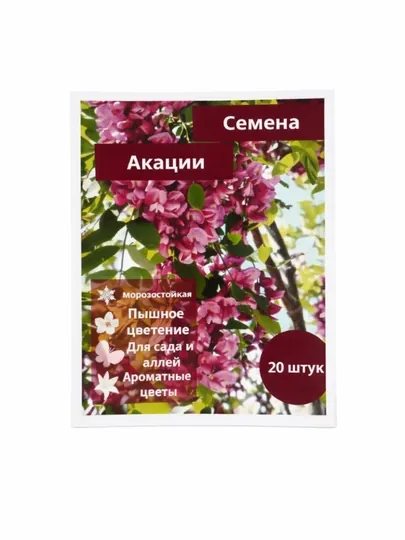 25 шт, Акация Робиния розовая семена, TomaRo