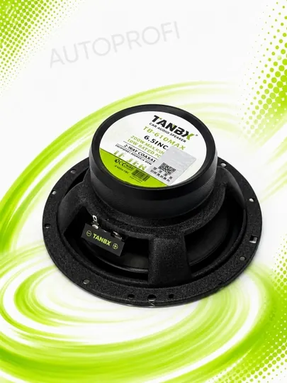 Автомобильные колонки Tanbx, акустическая система, динамики комплект из 2-х штук — ELAVTO-4XILTANBX-ЧЕРНСТЕ-610MAX
