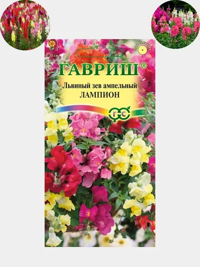 Семена цветов Дельфиниум, Кохия, Петуния, Василек и др