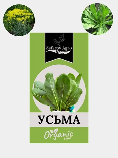 Семена усьмы