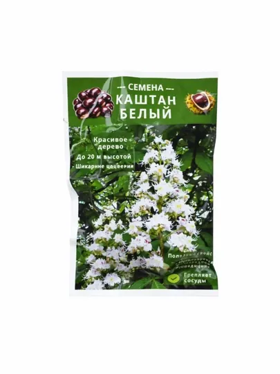 Белый Каштан – семена