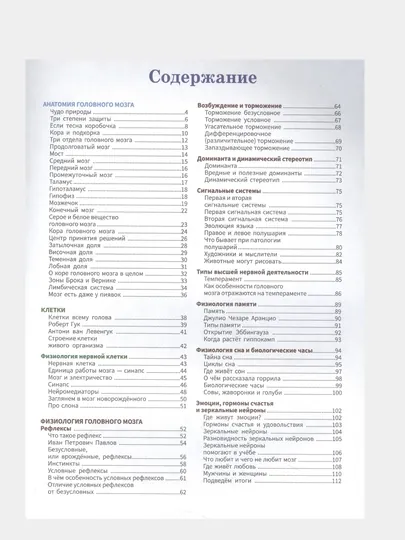 Мозг человека: самая умная энциклопедия — GORFAM-GRI4652